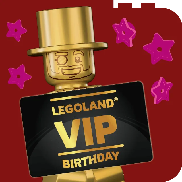 Zusatzleistung 2025 Kachel 25 VIP Geburtstag Neu