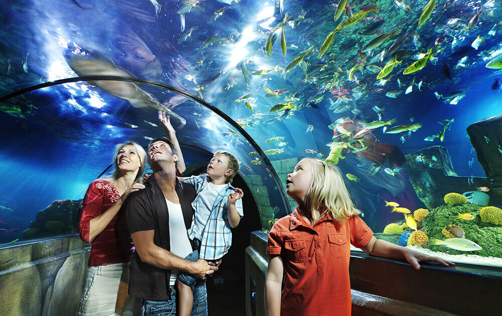 LEGOLAND Deutschland Aquarium 